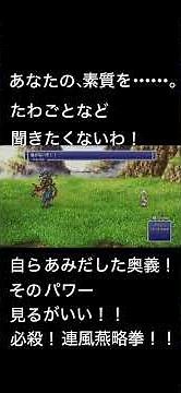 [FF6] Special move! Continuous Wind Swallow Fist!!!