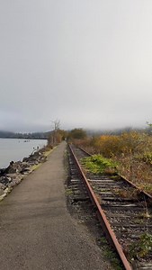 119 reactions · 9 comments | Your morning fall dose of Oregon Coast therapy from the Astoria, Oregon Riverwalk. ❤️ Salty Raven is open 11-5 everyday! Astoria * Cannon Beach * Tillamook Saltyraven.net #astoria #astoriaoregon #astoriariverwalk #oregoncoast #oregon #bestoforegoncoast #bestoforegon #westcoast #pnw #saltyraven #saltyravencannonbeach #saltyravenastoria | Salty Raven Astoria | Facebook