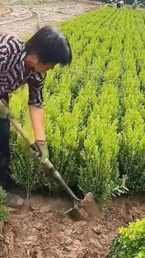 27K views · 113 reactions | Amazing Technology on Reels | Facebook