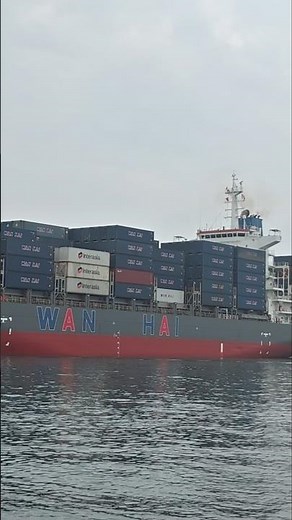 深灰配色的萬海 WAN HAI 313 富春輪🚢穿裙裙拍船船