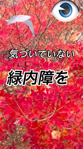 ￼気づいていない緑内障をチェック！ #緑内障 #視野検査 #￼shorts