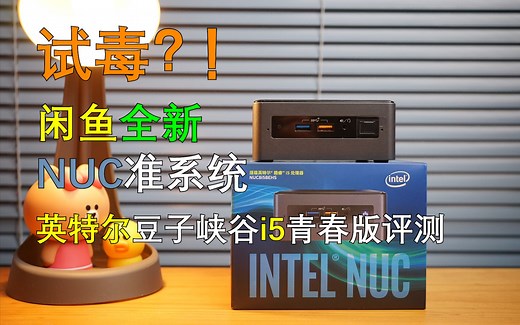 试毒？！闲鱼全新NUC准系统 | 英特尔NUC8i5BEHS装机评测