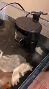 Aquarium Biofilter Aquarium Innenfilter Schildkrötenfilter Wasserfall Tank Wasserreinigungspumpe Bio Filtration für Kaltwasser, Tropenaquarium Schildkröte Garnelen Frosch Krabben Bis zu 130L