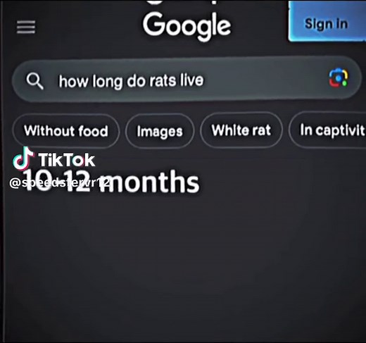 TMNT 2012: Master Splinter's Resilience