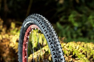 Continental Mountain King II Protection review - MBR