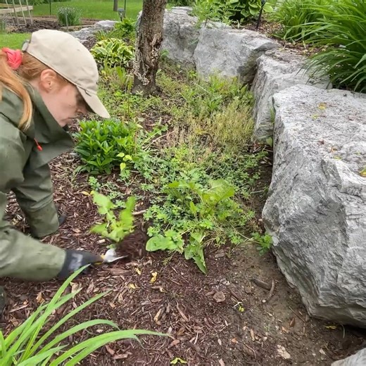 172K views · 649 reactions | Cushy TV on Reels | Facebook