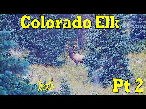 Colorado Muzzleloader Elk - Part 1 - RGO #495