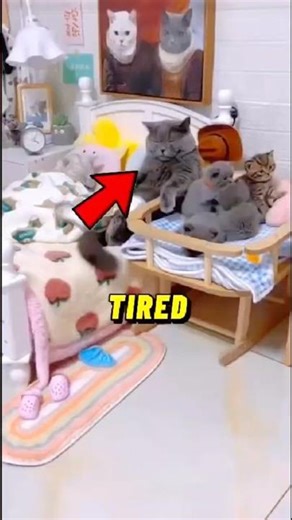 Their Love Made a Kitten 💕 😻 #family #cats #love #heartwarming #usa #shorts