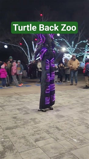 Did you visit for the holiday lights? #turtlebackzoo #westorange #familyfun #christmas #yts #ytviral