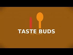Taste Buds by G&V | Official Channel Intro.