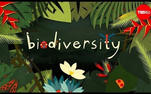 【Ted-ED】生物多样性为何重要 Why Is Biodiversity So Important