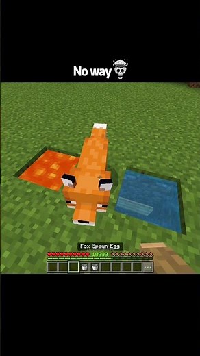 Minecraft crazy fox iq test moments