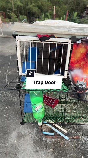 Understanding the 30cm Trap Door for Pigeons