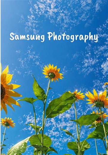 Samsung Galaxy S22 Ultra Delivery in Zambia