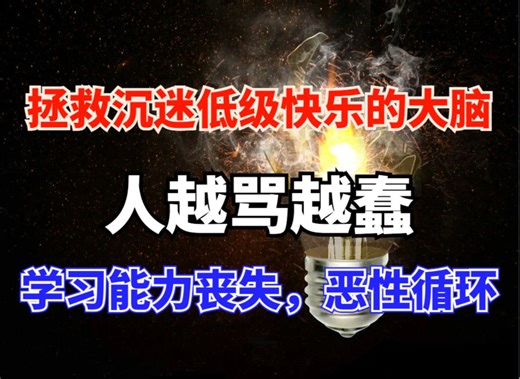 如何拯救沉迷低级快乐的大脑，人越骂越蠢，丧失学习能力，恶性循环