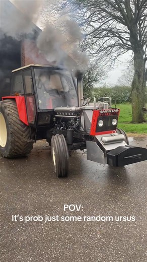 Understanding the Life of a Random Ursus