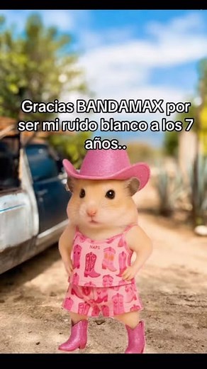 𝑵𝒂𝒉𝒐𝒎𝒊 𝑭𝒂𝒛👑 on Instagram: "🙈🤭😂 #banda #bandamax #trend #trendingreels #recomendation #music #bandademusica #musically"