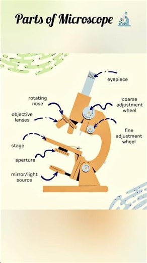 Parts of Microscope 🔬