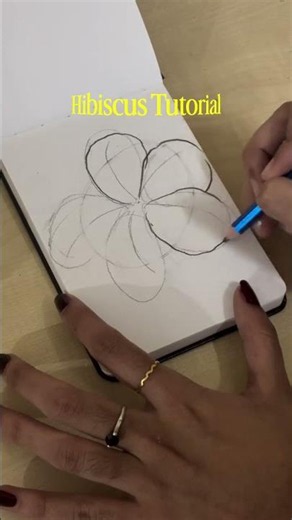 Easy Hibiscus Flower Pencil Drawing | Beginner Tutorial #menorahcreatif #sketchbook #art #ytshorts