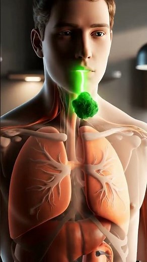 What Happens When You Eat Broccoli 🥦 | 3D Human Body Animation”