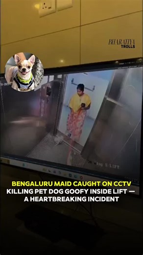 BharatiyaTrolls on Instagram: "Bengaluru: A shocking incident has surfaced after CCTV footage showed a domestic help allegedly k!ll!ng a pet dog named Goofy inside a lift. 💔 The dog's owner, Rashi Poojari, filed a complaint after discovering the heartbreaking video. Bengaluru Police have registered a case under BNS Section 325 (Animal Cruelty), and the accused, Pushpalatha, is currently being traced. This painful case is a reminder — our pets trust us completely, and no animal deserves cruelty.