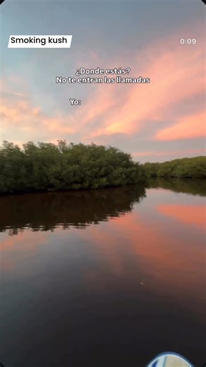 1.1K views · 14 reactions | Smoking kush on Reels | Facebook