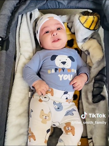 THE_SMITH_FAMILY on TikTok