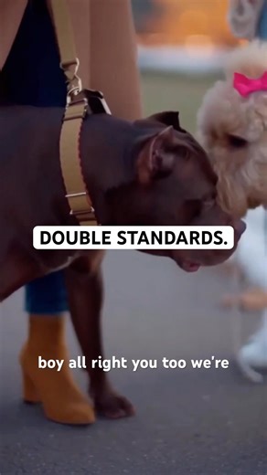 Auntie vs Louie | Overprotective Dog Has Double Standards 😳 #dogparents