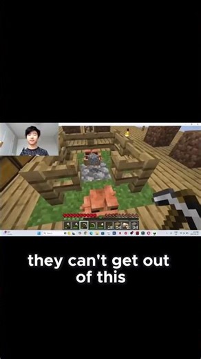 Annoying Vexes in Minecraft