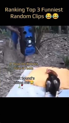 3 Random Clips That Made Me Laugh WAY Too Hard 😂 #shorts #shortsviral