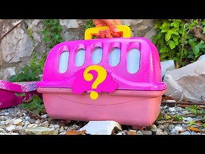 I FOUND a KITTEN and built the most Amazing Cardboard Dream house in the World