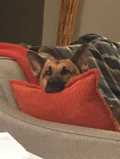 Jason Jones on Reels