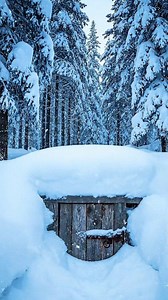 Frozen Camping Life 🧊 | Royal Camp