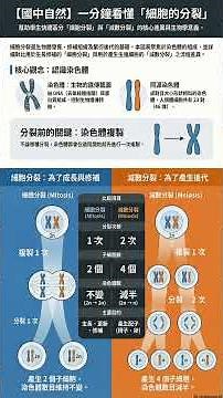【國1下自然】1-1 細胞的分裂 #國中自然