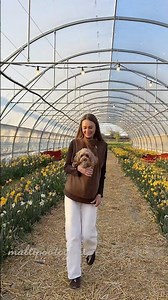 Gilet super coccolos 🐾🤎 link in bio🔗 codice promo MIA10 ✨#Maltipoo