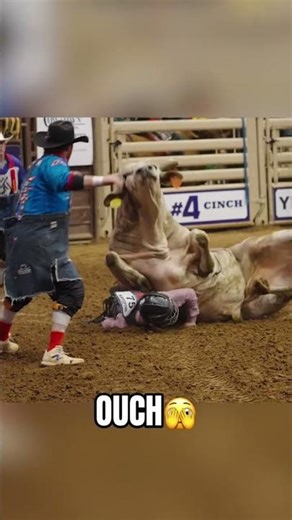 Bull said bedtime 😂