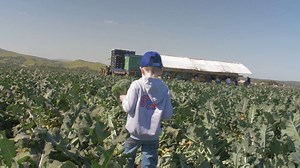 65K views · 1K reactions | After seeing the video of recent YouTube...