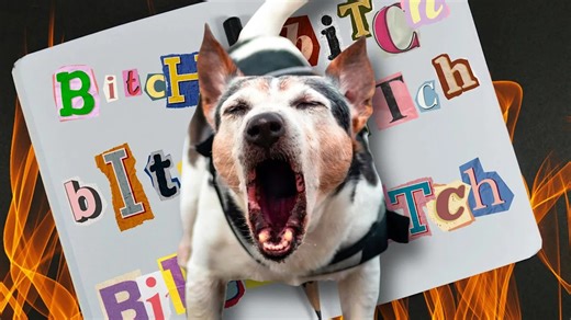 ‘Bitch’ has a 1,000-year history. Its use has always been about power