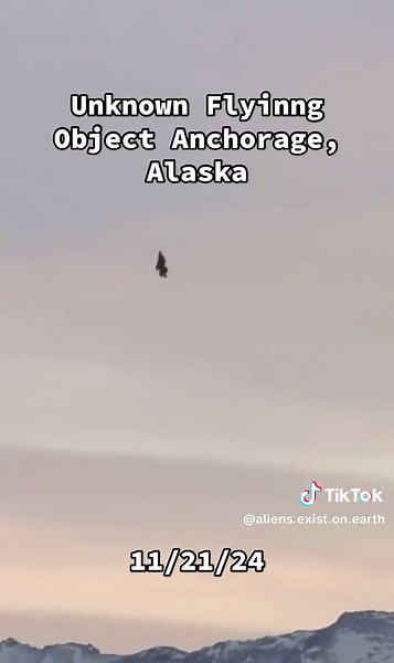UFO flying ofer Alaska 11/21/24. Thoughts on this? Potential tent? Doll? Alien? 😳👽🛸 #ufo #aliens #uap #earth #commanderfravor #f15 #aliensighting #ufosighting #alien