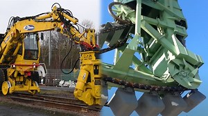Watch Extreme Chainsaws Cut Trees with Power