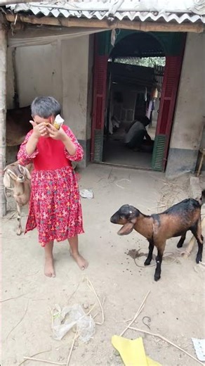 🔥 Indian Viral Girls Dance Competition 2025 | Epic Dance Battle Challenge 💃