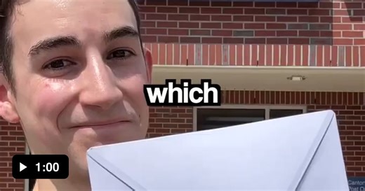 The integrity - Video