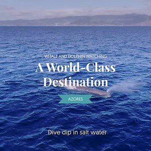 2.5K views · 31 reactions | The Azores Islands are known for their...