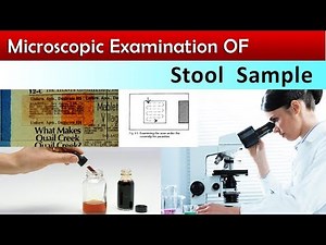 Stool Microscopic Examination ( Clear & 100% Correct Method )