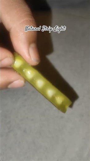 Natural Strip Light #striplight #decorationlight #panellight #drumstick #fancylight #ytshorts