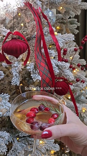 1.3K views · 51 reactions | Mini ice wreaths for holiday drinks… obsessed. ❄️✨ They’re so easy to make and instantly make any drink feel festive. Just add cranberries, rosemary, and water to a donut pan, freeze, and pop them out. Such a cute holiday hosting idea. | Fresh Mommy Blog | Facebook