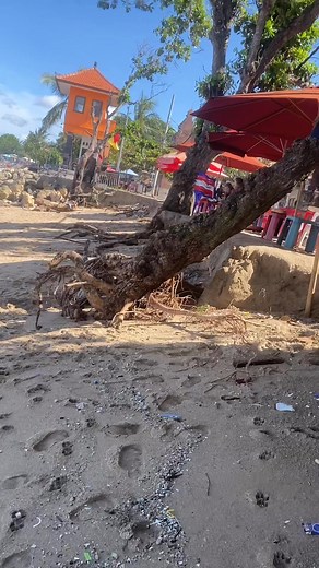37K views · 315 reactions | So really really sad about this,. Super king tide last night. Our spot getting smaller n smaller  | Kadek Danny | Facebook