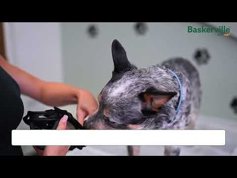 How to measure and fit the Baskerville Ultra Muzzle