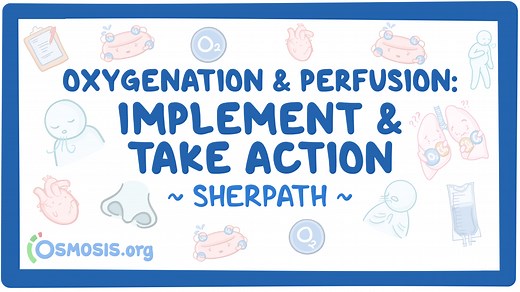 Video Case Study - Oxygenation and Perfusion: Video, Causes, & Meaning | Osmosis