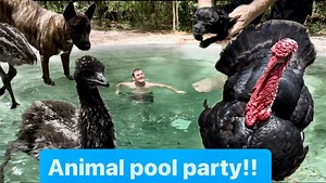 26K views · 687 reactions | Animal pool party and sanctuary vlog!!...